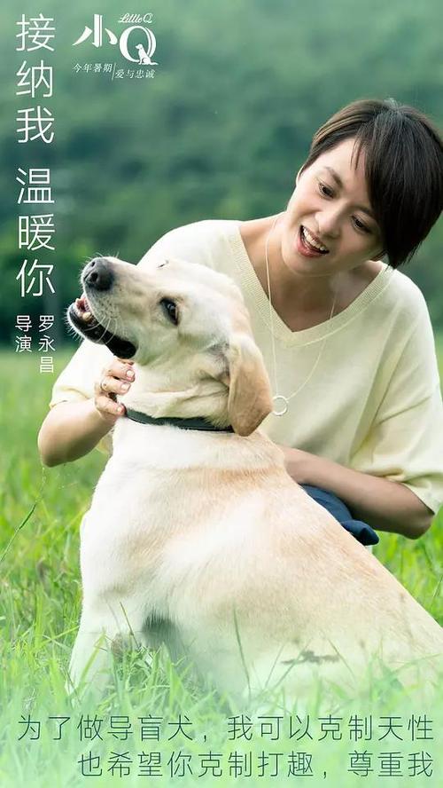 科廷大学新加坡校区成绩单